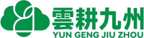 雲耕九州